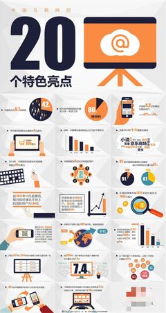 中國互聯網的20個特色亮點ppt模板
