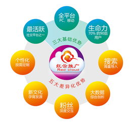 紅鵲豆網絡 紅云推廣推動企業發展新篇章
