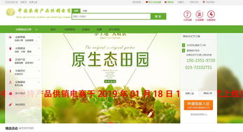 某農業(yè)公司電商新模式 互聯(lián)網 農特產品電商新模式
