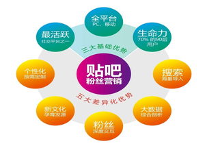蘭州網(wǎng)絡(luò)推廣外包作用